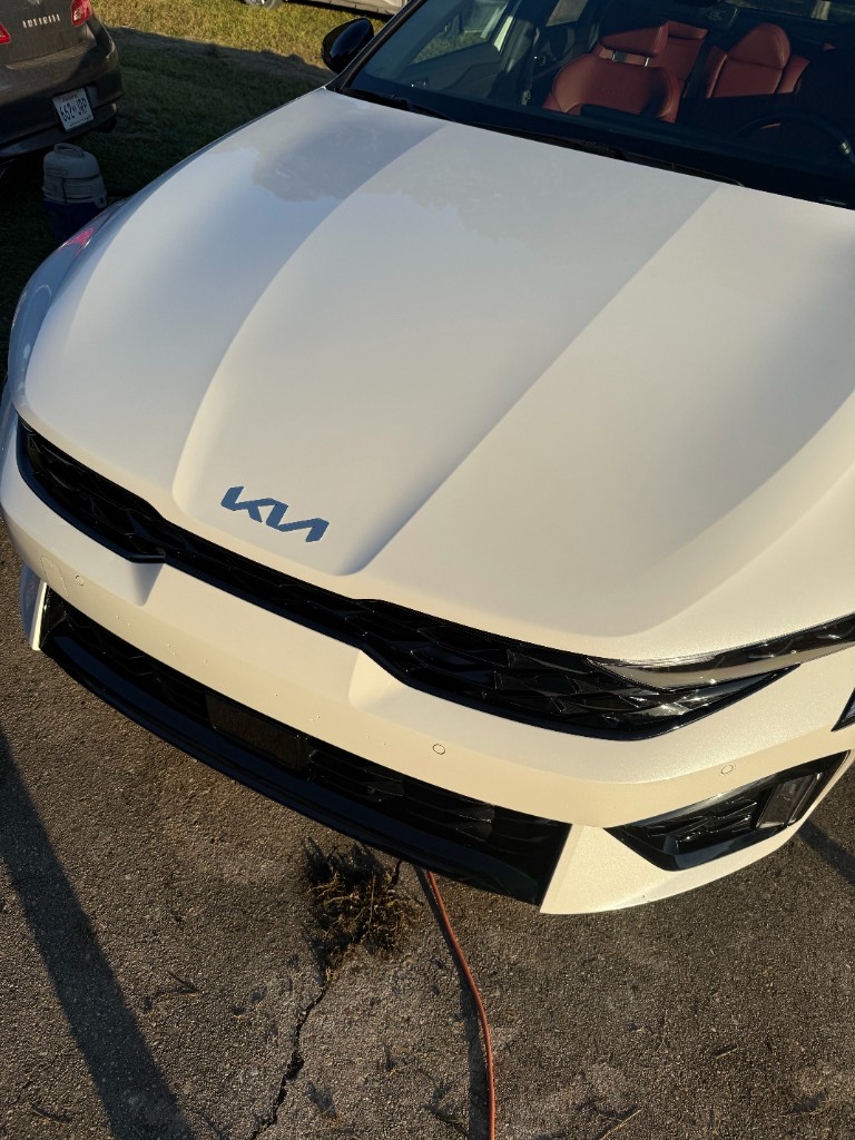 Close-up of a detailed white Kia K5 hood, grille, and badge